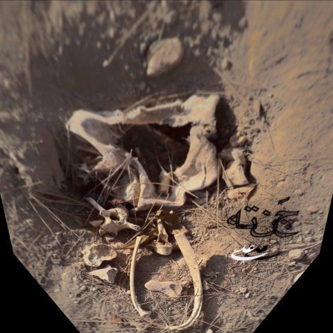 دانلود آهنگ علی به نام چَنتِه